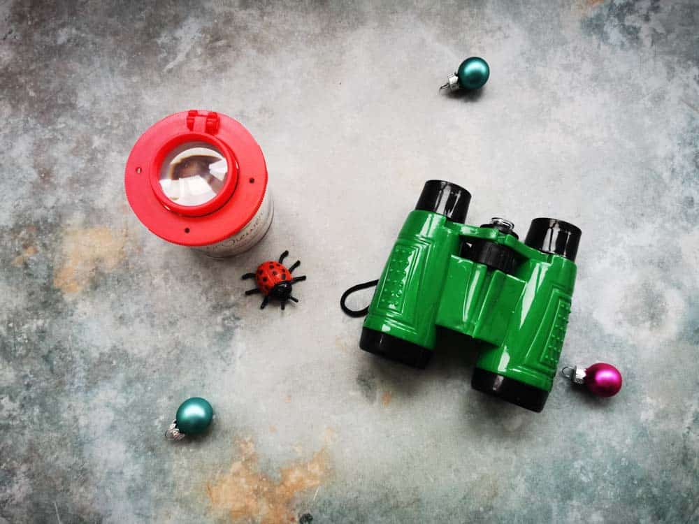arrangement of kids binocuars, bug hunting pot and a few Christmas decorations