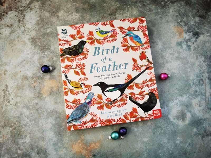 Board book about birds
