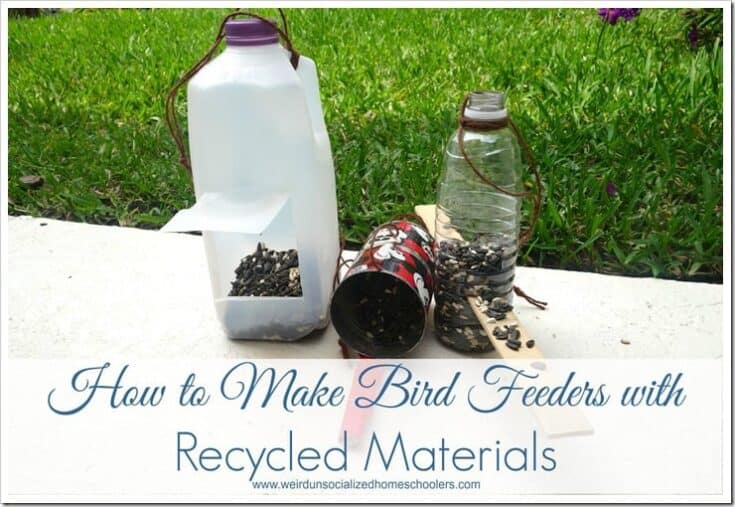 recycled bottles filled with bird seeds