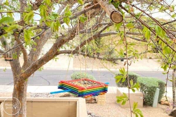 bird feeder made out of coloured lolly sticks