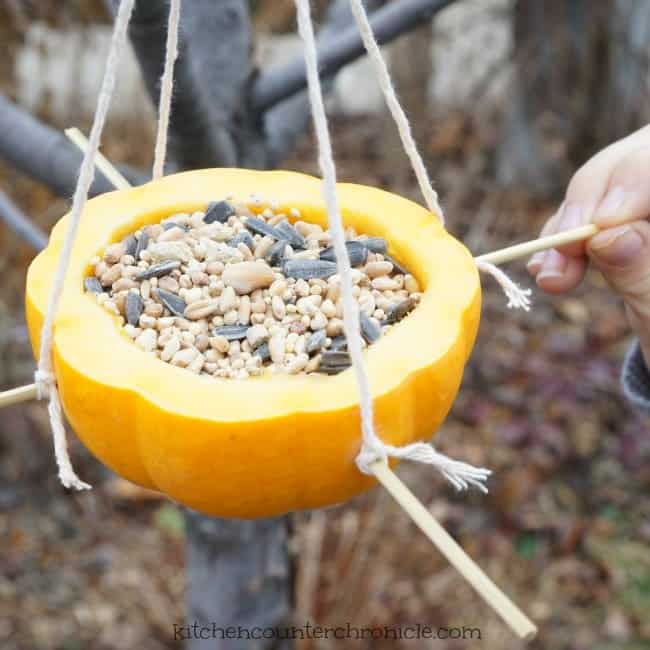 Half a small pumpkin filled with seeds, hanging be string