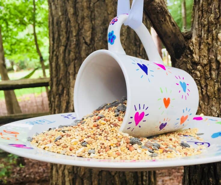 Mug on it's side on a plate, hanging from a tree, with seeds on the plate