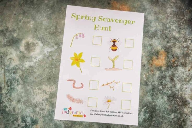 Spring scavenger hunt of a slate stone background