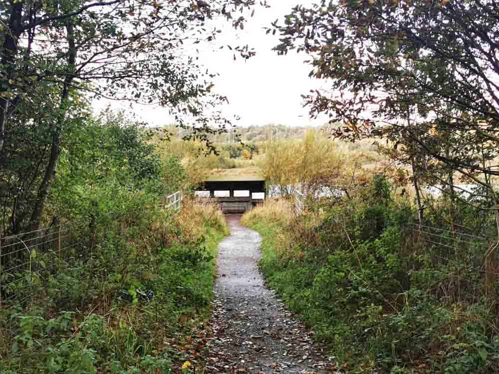 Bird hide in the distance at the end of a path