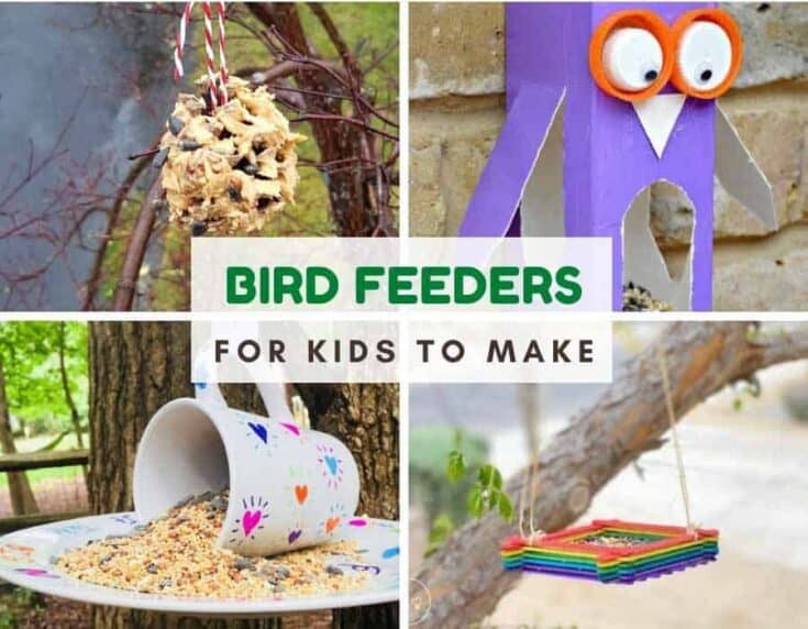 4 photos of different diy bird feeders and text that reads bird feeders for kids to make