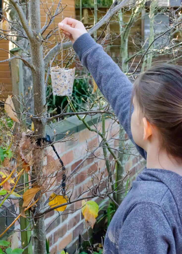 Image for Homemade bird feeders: easy step-by-step guide