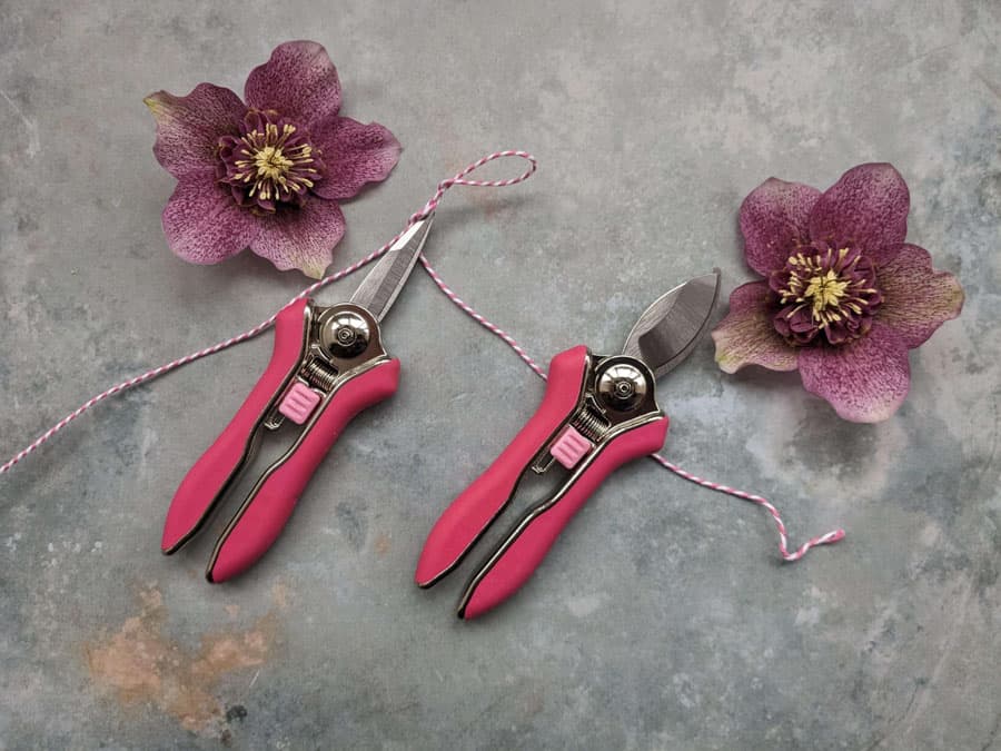 Pink mini prunin tools and flowers on a stone background 