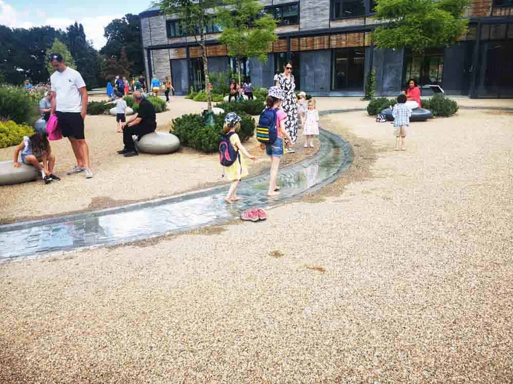 Children playing in a shallow stream