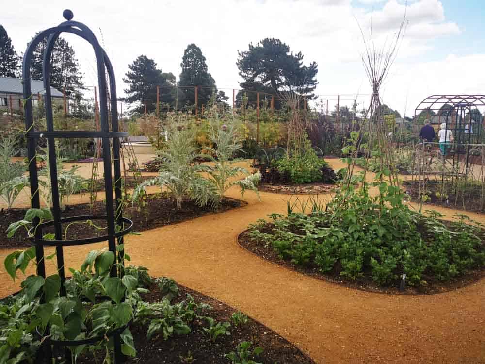 Planting in world food garden