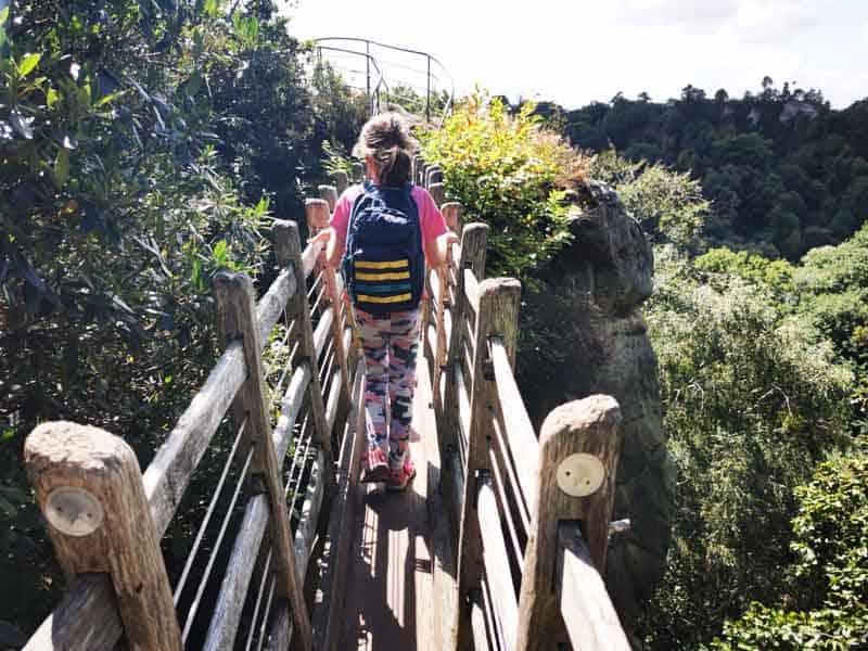 Child walking across a narrow bridge