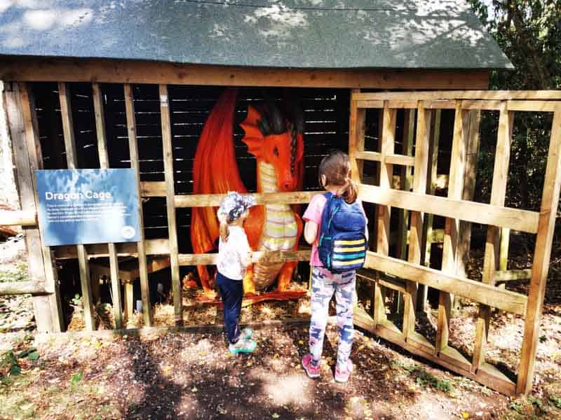 Children looking at a dargon model