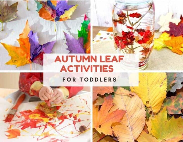 Collection of autumn leaf crafts and activities. Text reads autumn leaf activities for toddlers