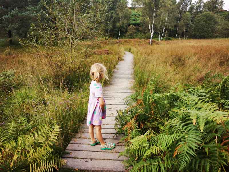 Child stood on wooden board walk in marsh land