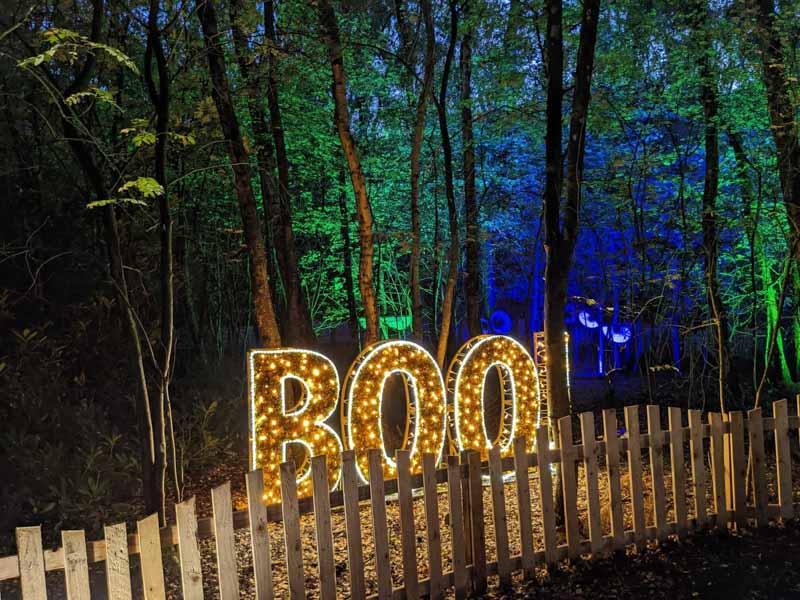Boo sign of lights in the woods