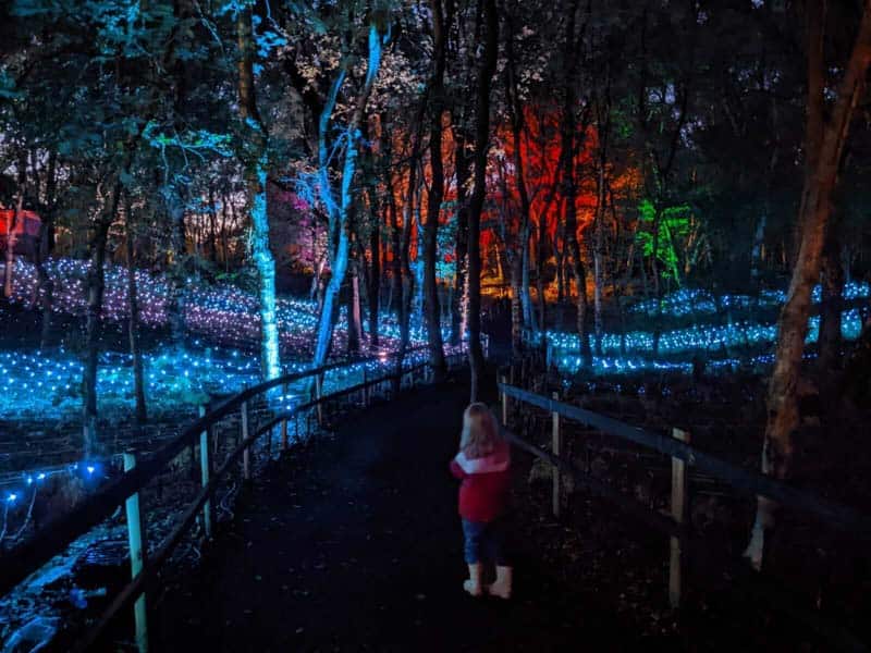 Child in magical woodland light trail