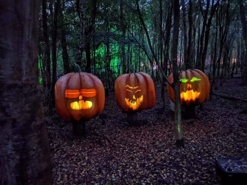 3 giant fake pumpkins with lights projecting faces on them