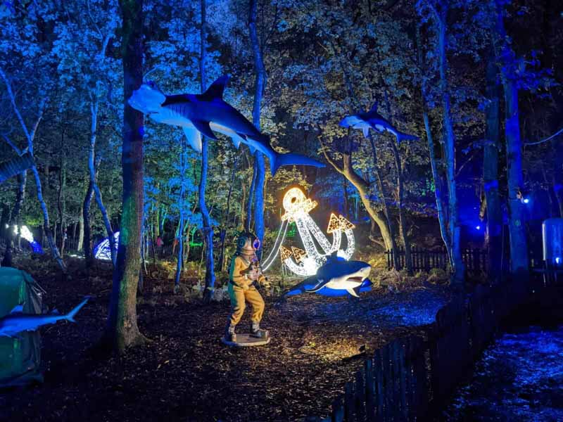 Lights in the shape of an anchor