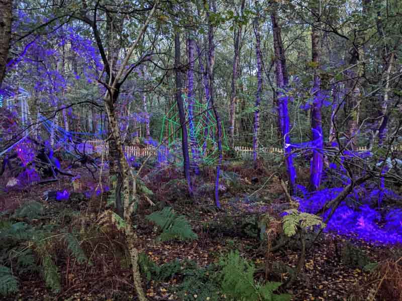 Lights and giant fake spiders in the woods