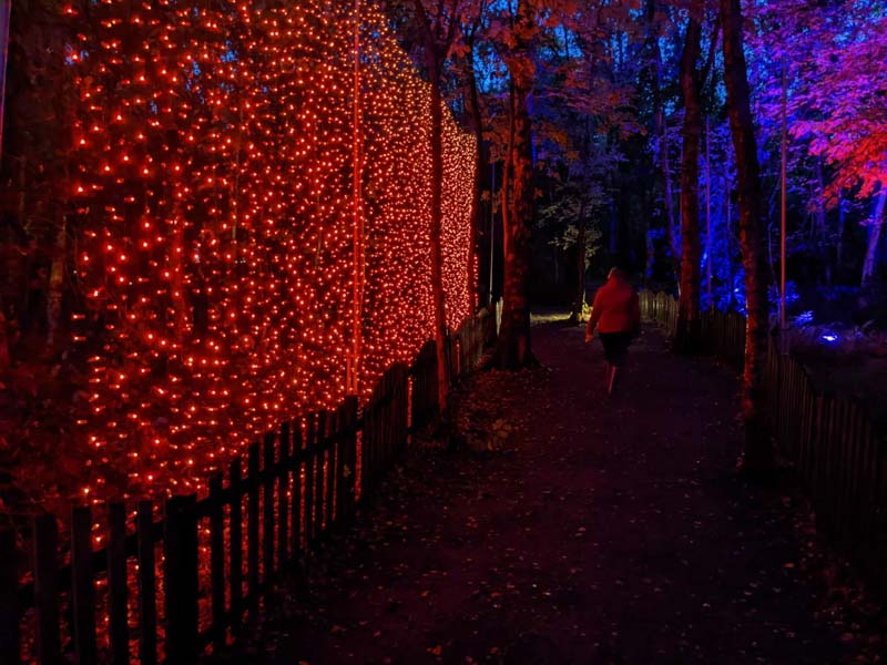 Red string light wall in the woods