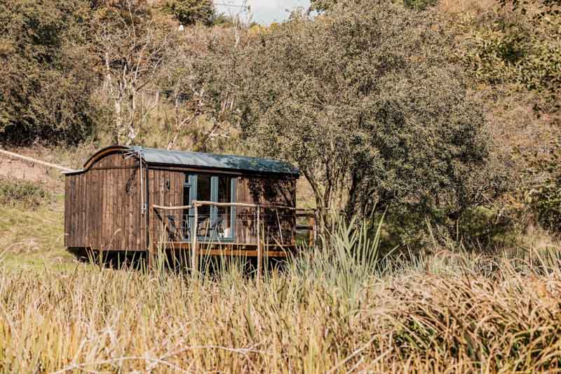 Small cabin in the woods