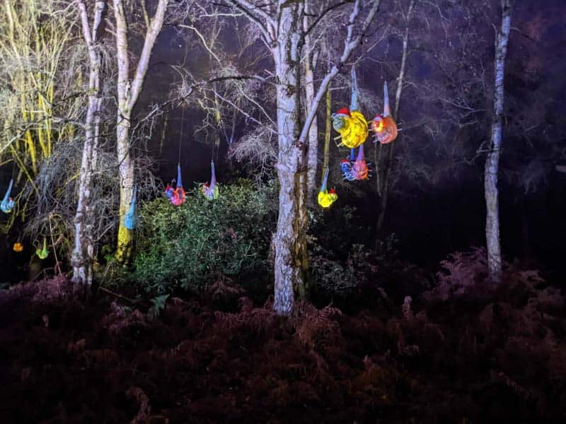 lit up caterpillar sculptures in the trees