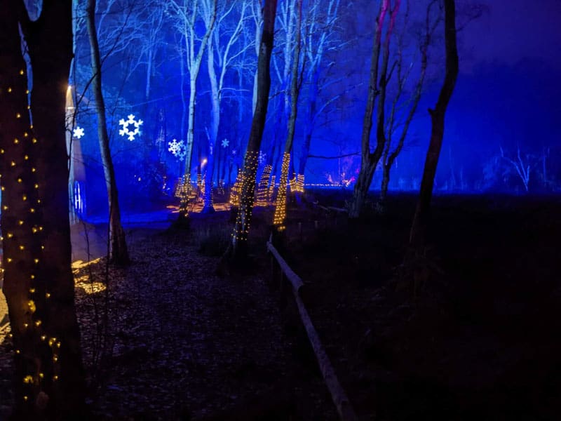 Woodland with snowflake lights