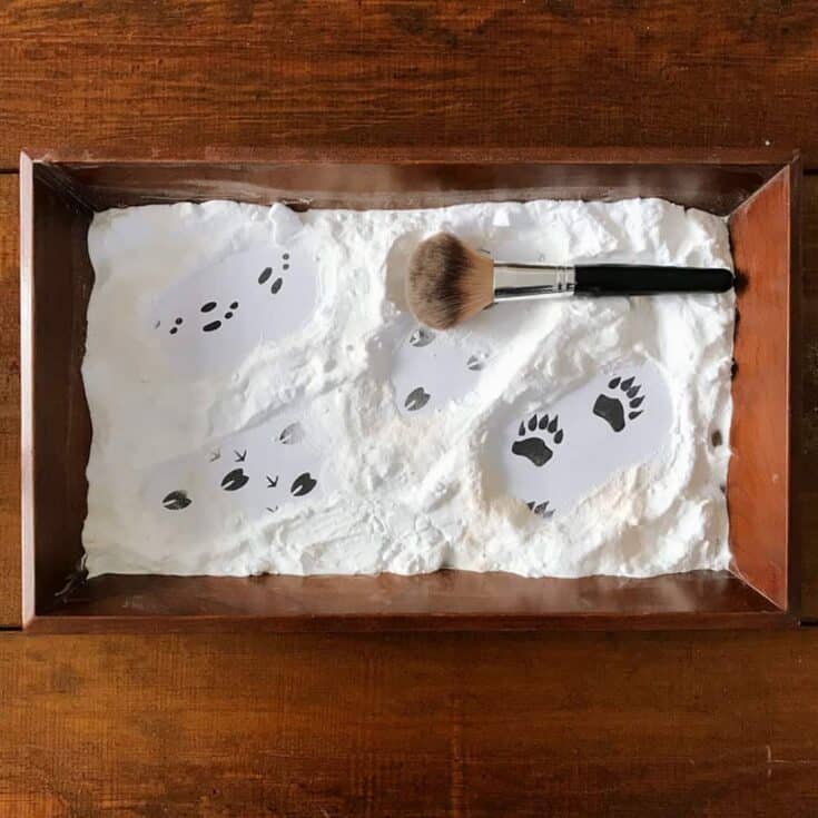 wooden tray filled with white powder and a make up vrust. This is a toddler writing tray