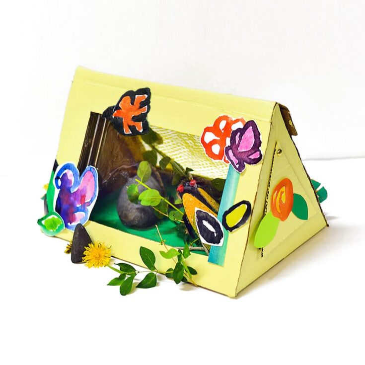 Image for Make: A DIY Bug Observation Box from Recycled Supplies