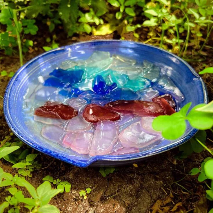 Image for Make: A DIY Bee Bath With Kids (5 Creative Ways)