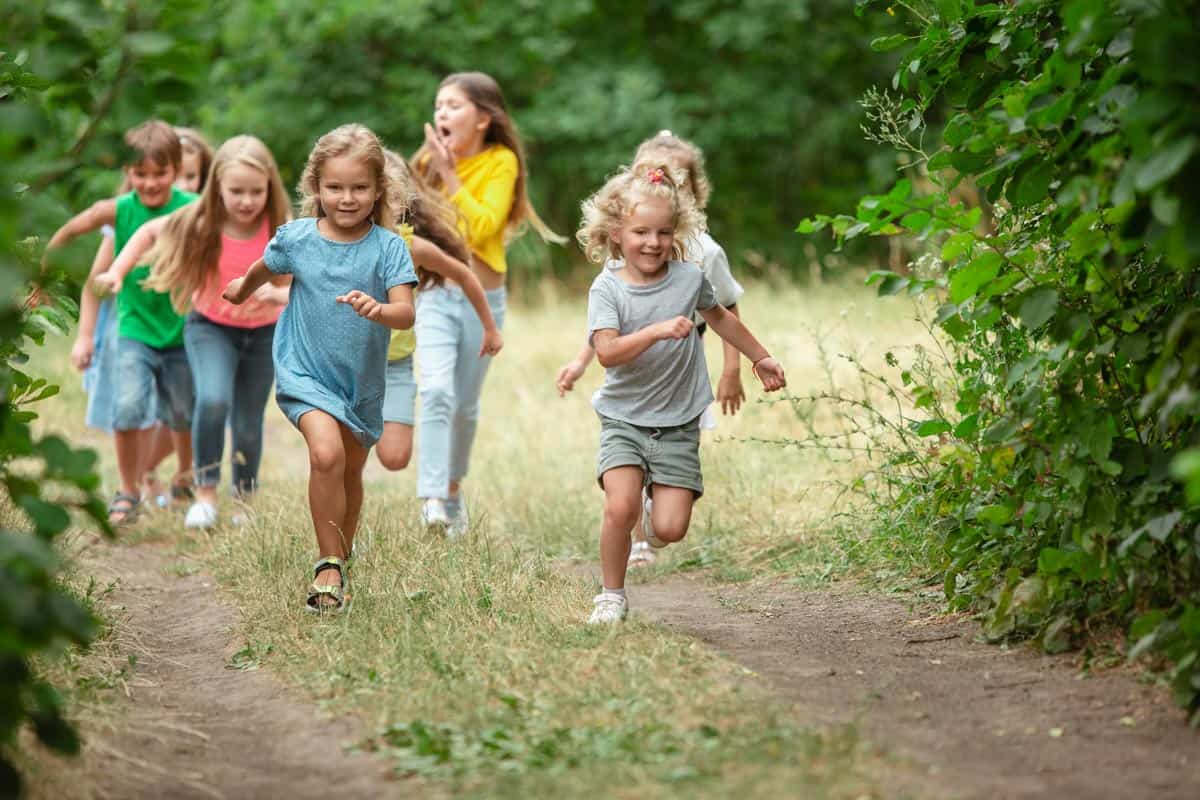 How To Become A Brown Owl And Help Young Girls Realise Their Dreams ...