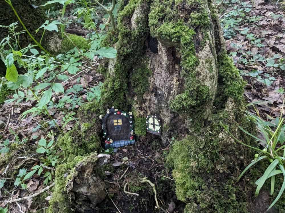 Fairy house door in a tree
