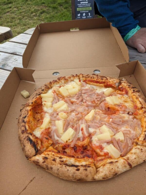 Ham and pineapple pizza in a cardboard box