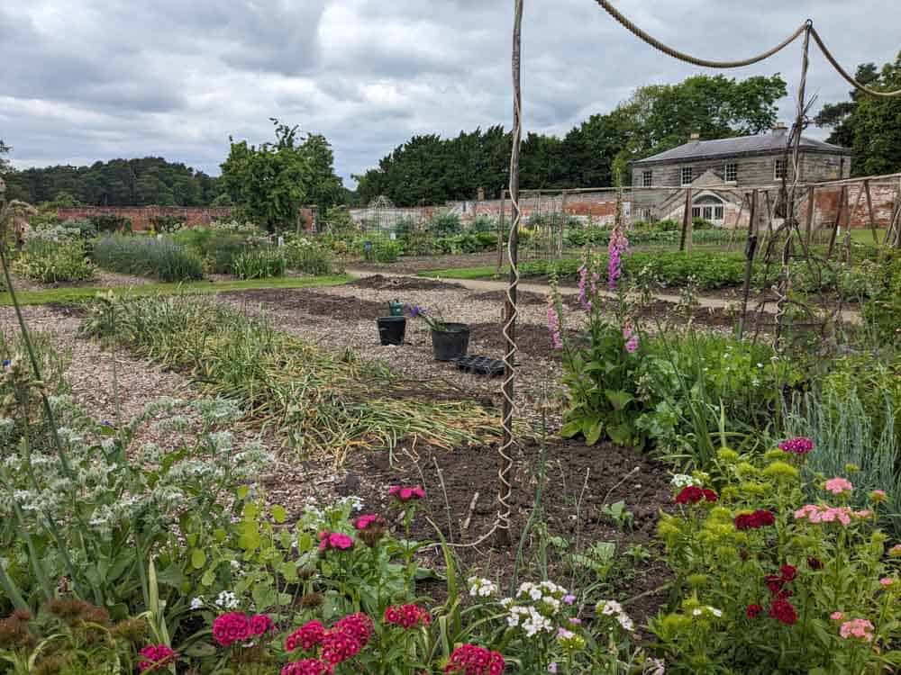 Formal kitchen garden