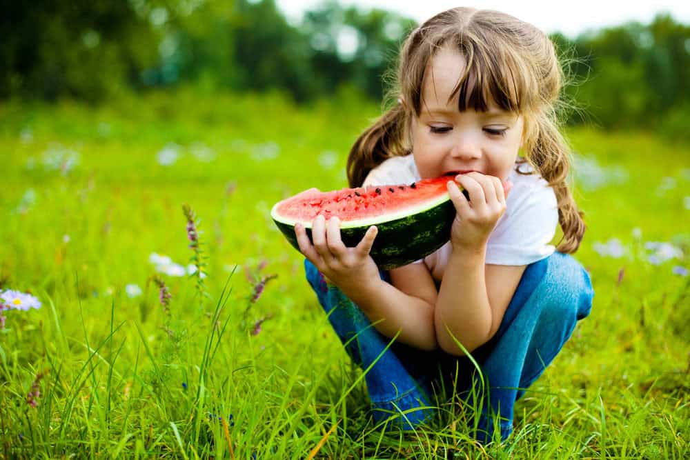 Girl with brown hair in a field. Crouched down with a large slice of watermelon