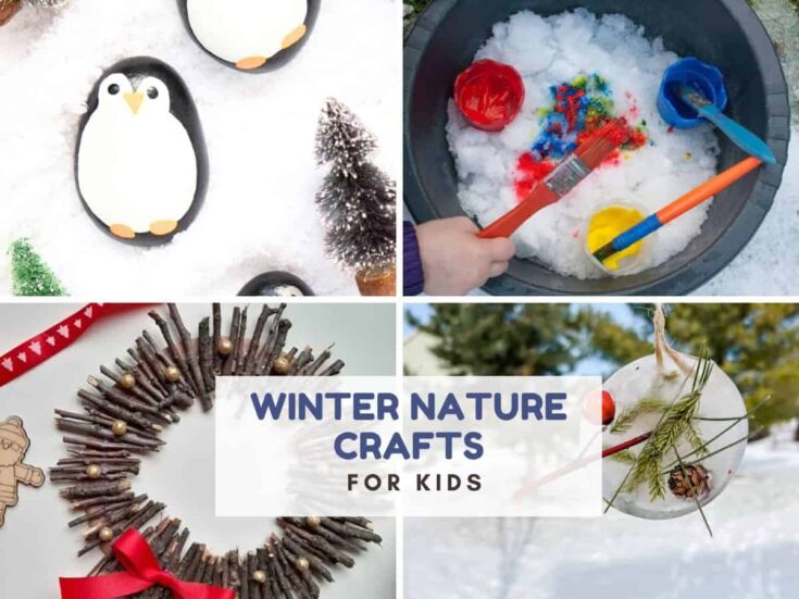 4 photos of winter nature crafts and text that reads winter nature crafts for kids