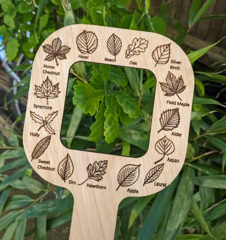 Wooden frame with leaves all around it. The frame is on grass