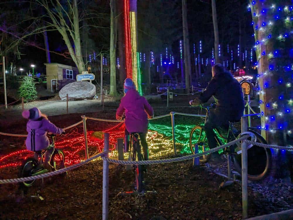 People on bikes in the dark by a lit up colourful tree trunk