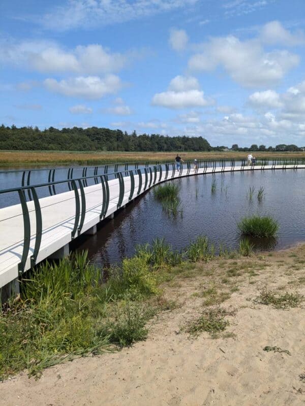 Sweeping bridge over a lake