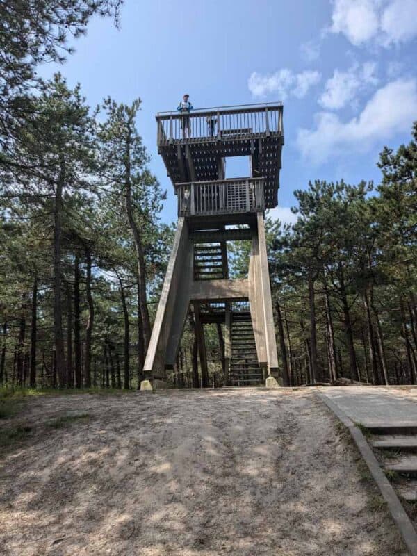 Wooden watch tower in a forest
