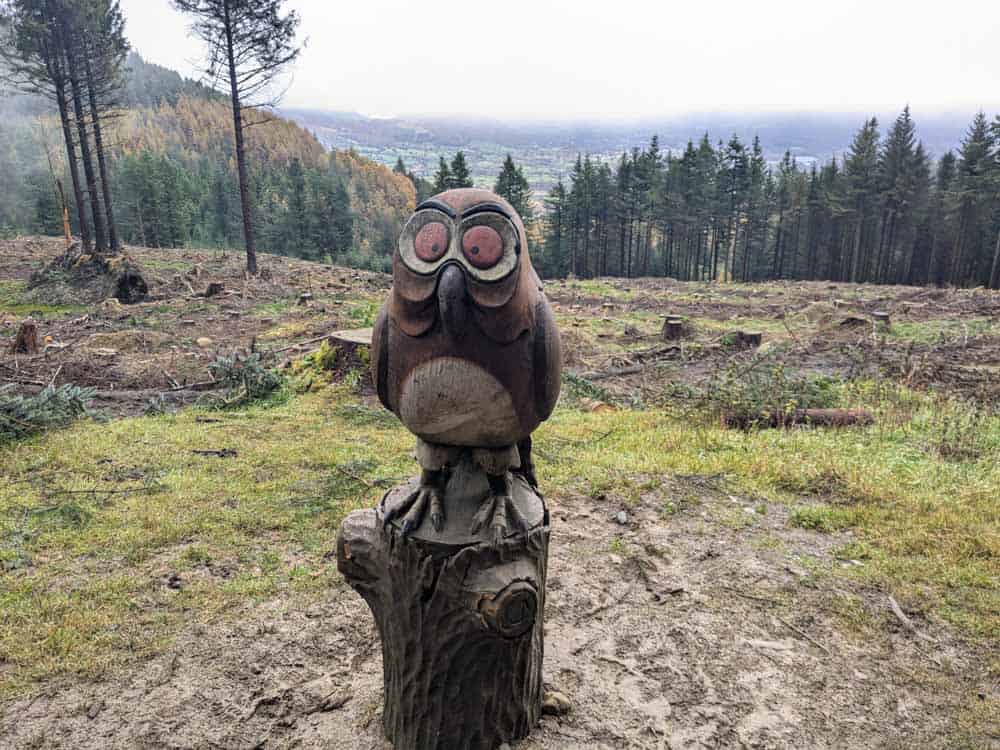 Wooden owl sculpture in the woods