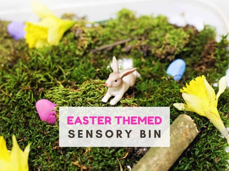 Moss and dafodil heads in a plastic bin. Also small rocks painted in pastel colours and a plastic rabbit. Text reads Easter themed sensory bin