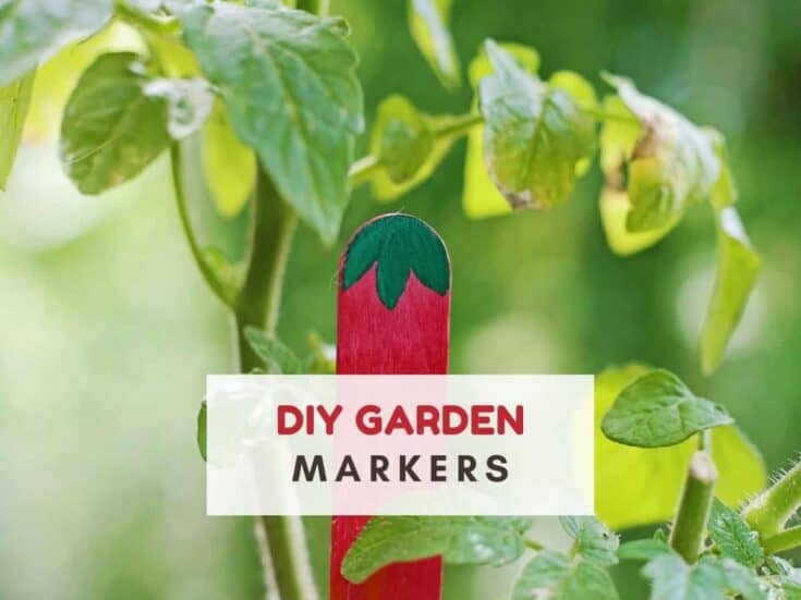 Popsicle stick painted to look like a tomato by a plant. Text reads DIY garden markers