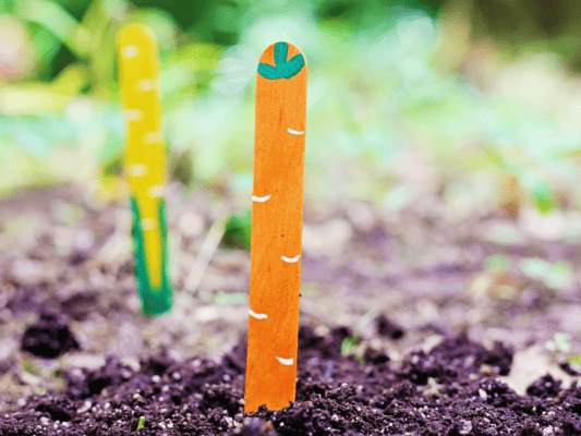 DIY garden markers - The Ladybirds' Adventures