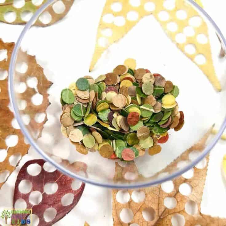 Glass bowl of lots of tiny leaf circles