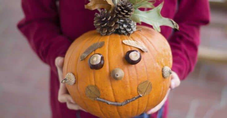Pumpkin with nature decorations to look like a face
