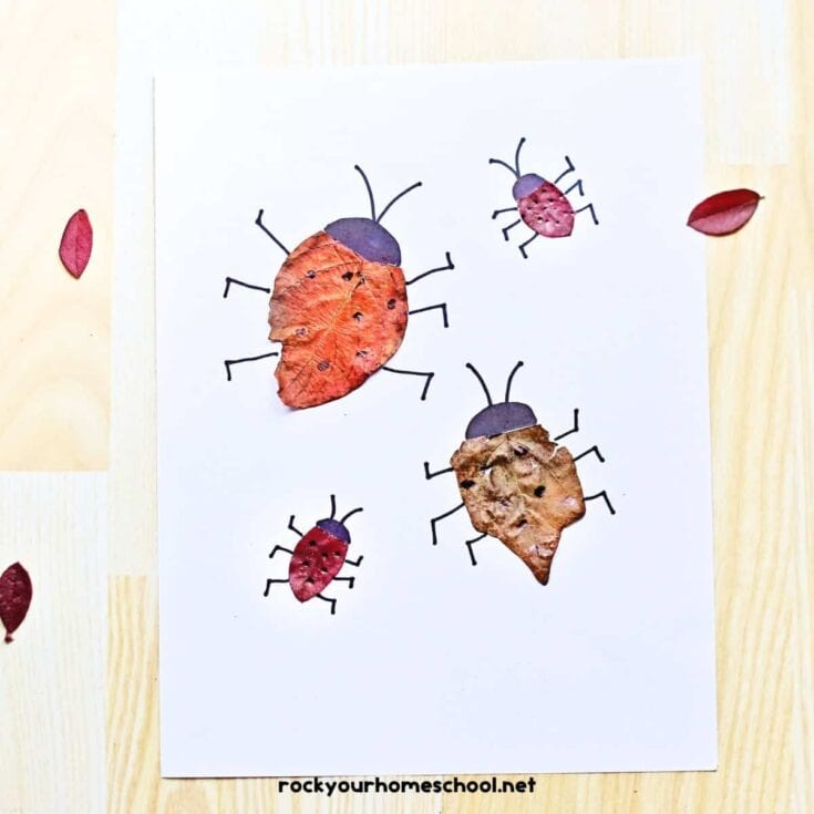 Leaf prints with legs etc drawn in pen to make them look like bugs