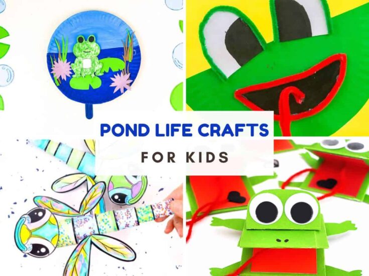Image for Pond Life Crafts for Kids