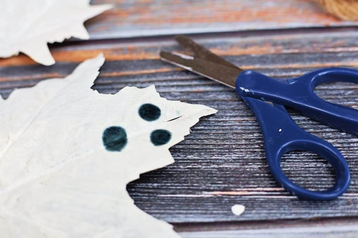 leaves painted white with a face drawn on and a small pair of scissors, all on a wooden background