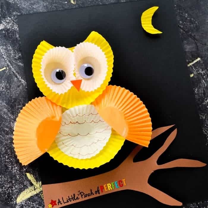 Owl craft for kids made with colorful cupcake liners, googly eyes, and paper branch on a black background