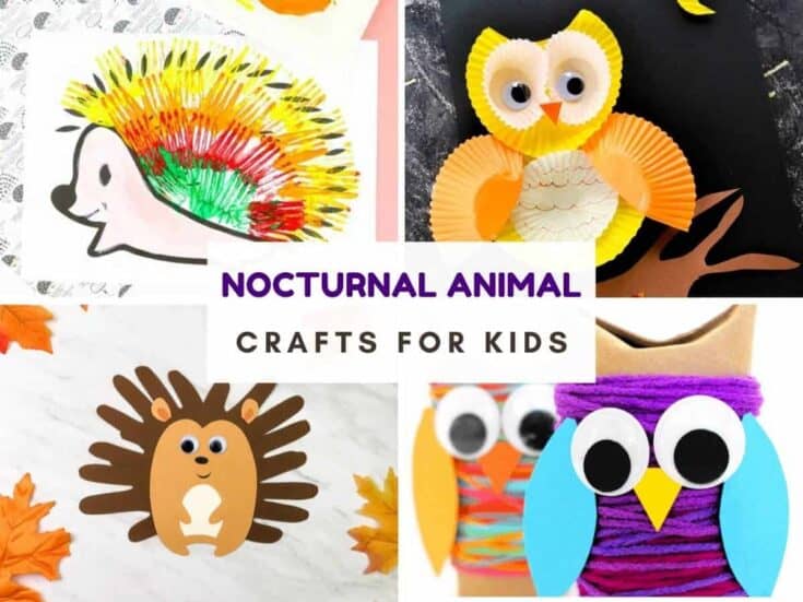 Collage of nocturnal animal crafts for kids, including a colorful painted hedgehog, cupcake liner owl, paper hedgehog with googly eyes, and yarn-wrapped owl